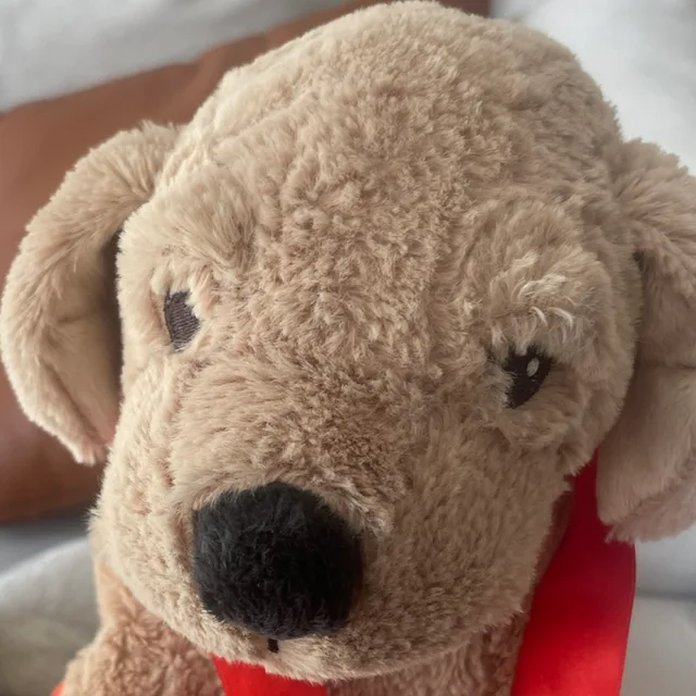 안뇽하세욤