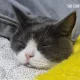 쑤니