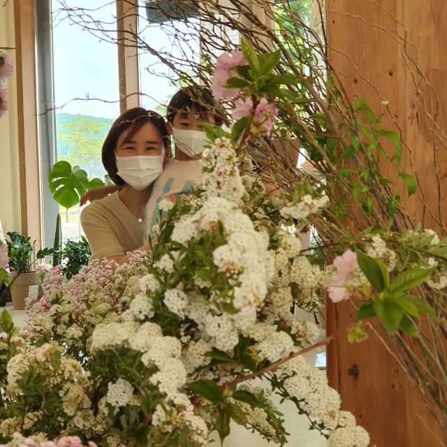 보니비