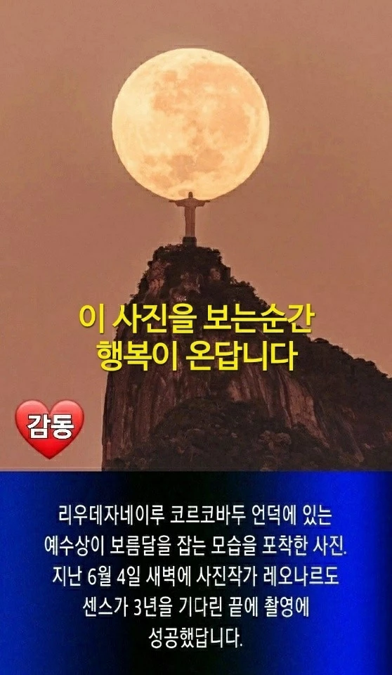 생존전략