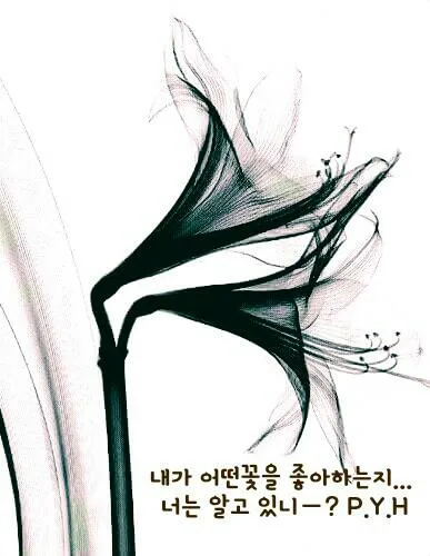 오드아이