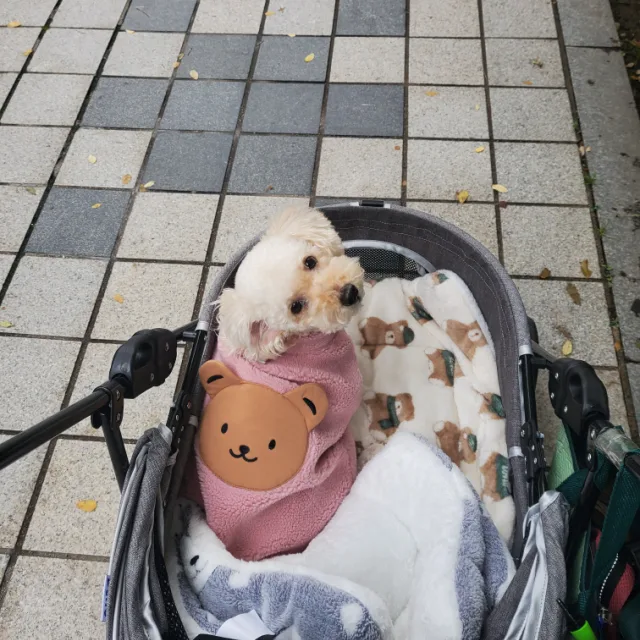 울피맘