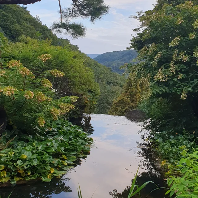 오늘도감사
