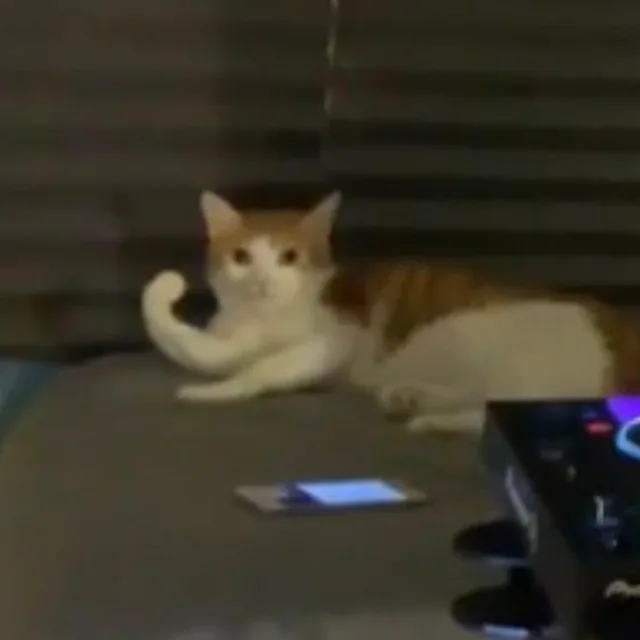 하이시리