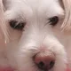 간지나는일상