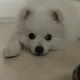 깡깡