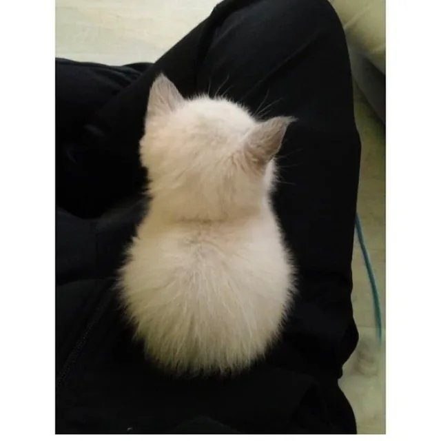 노매너사절