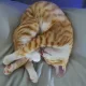 보리빵