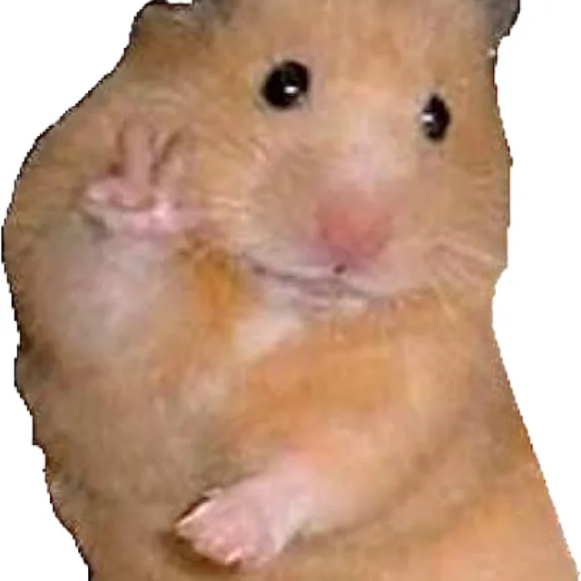 햄지