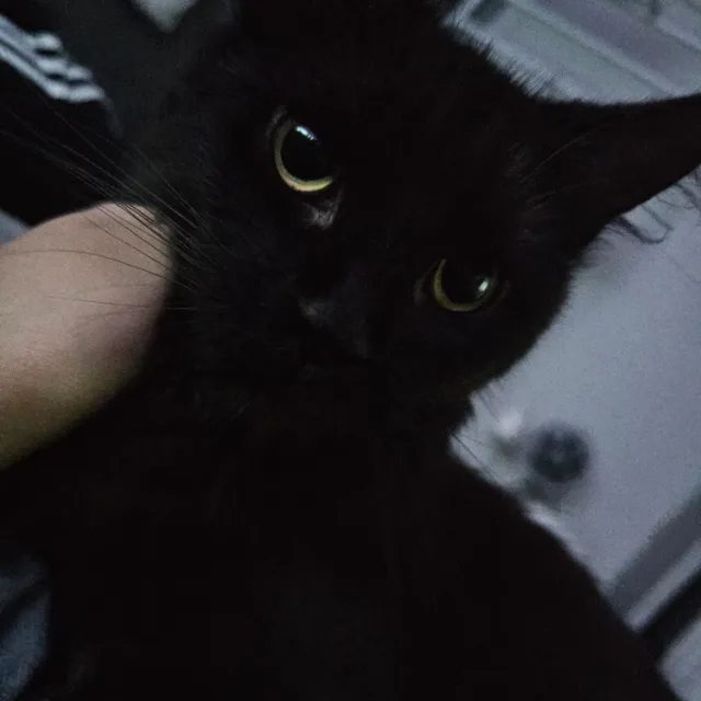 하나