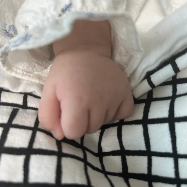 빅베이비
