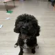 바나나킥