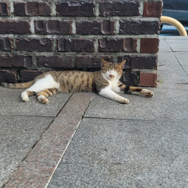 예뉘뉭