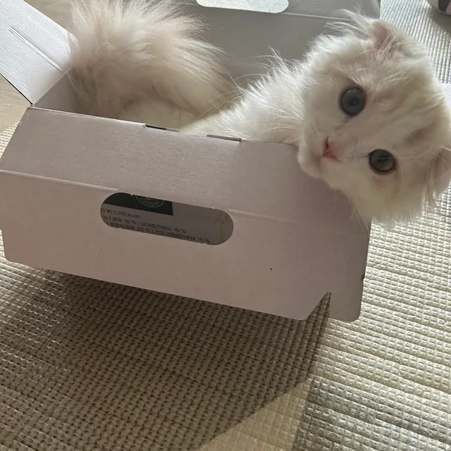 빠삭