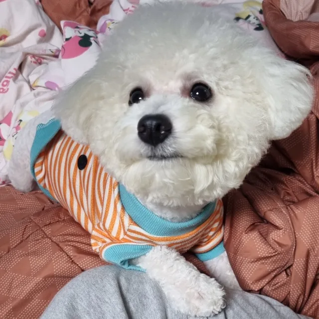 파덕
