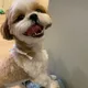 스카이