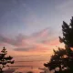 보연