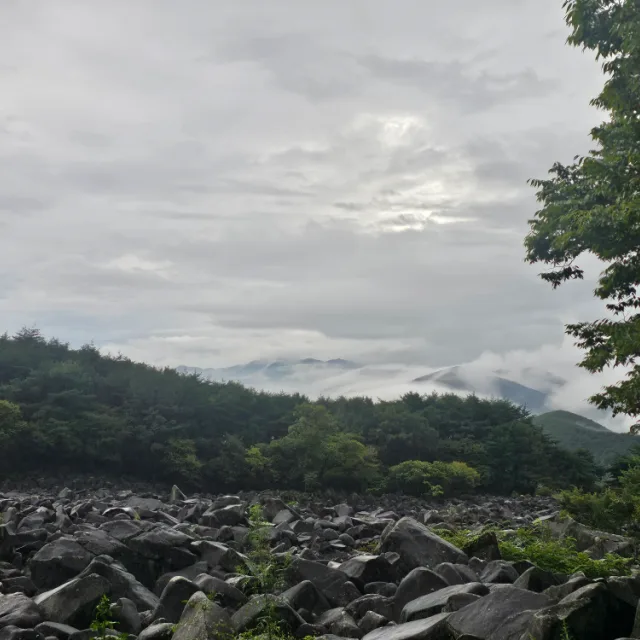 치즈쿠키
