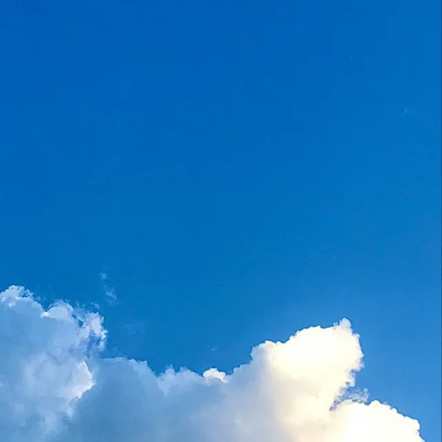 하늘이시여