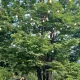 미소