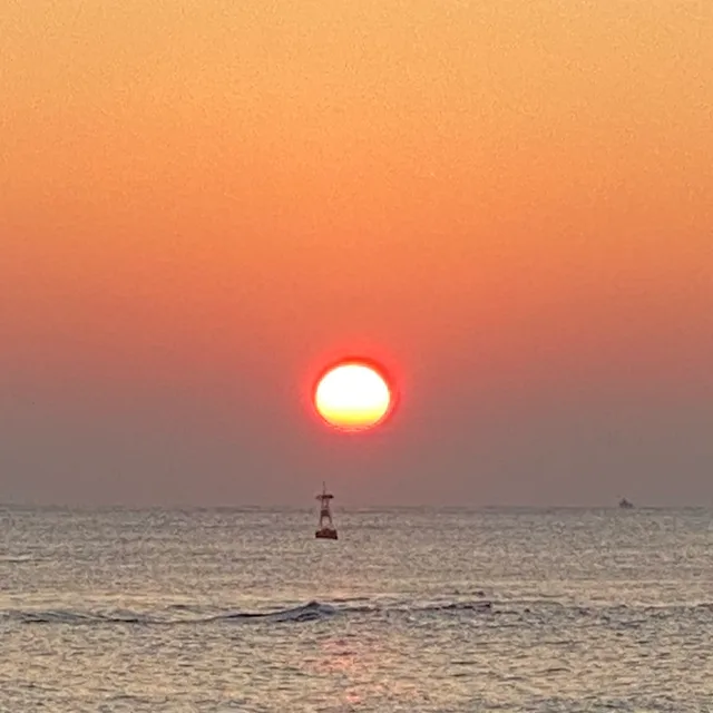 김큰양
