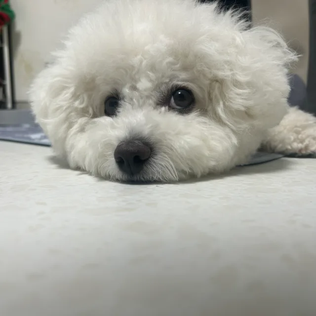상태좋은제품만팔아요
