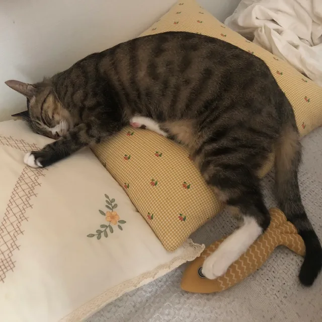노을