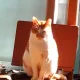 케이Kay