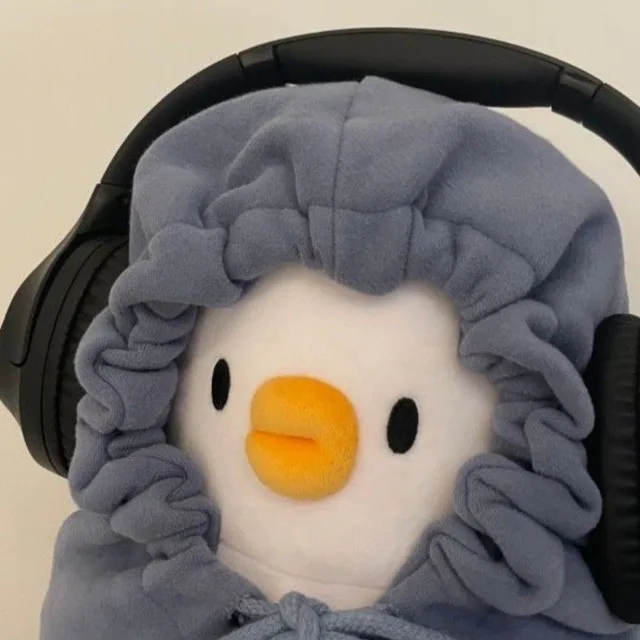 새싹보리