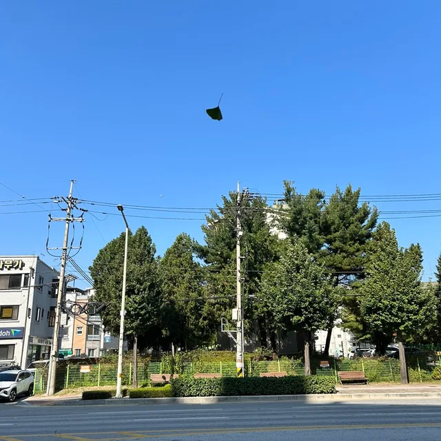 김홍규
