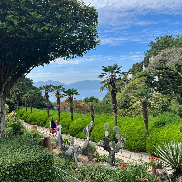 바라