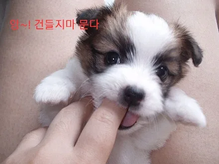 스틸
