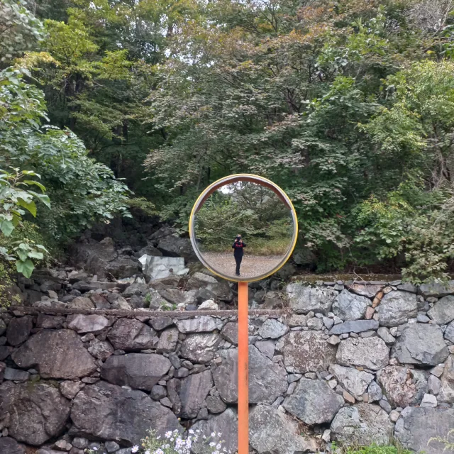 블랙스완
