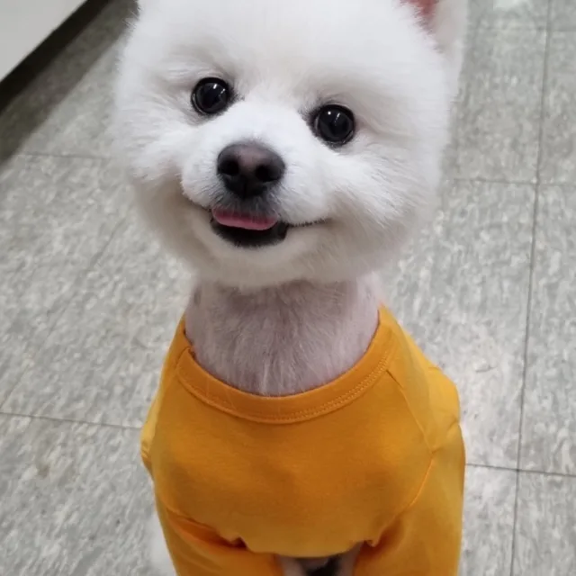 당근사랑