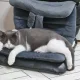리샨셔스