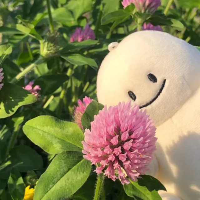 캐논