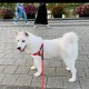 부산S
