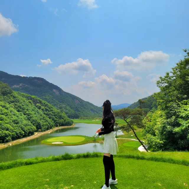 팔러팔러미