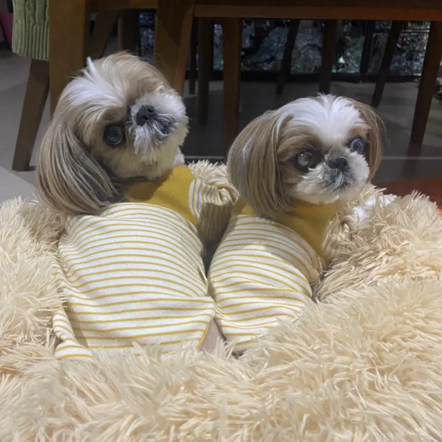 민또니