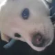 복이