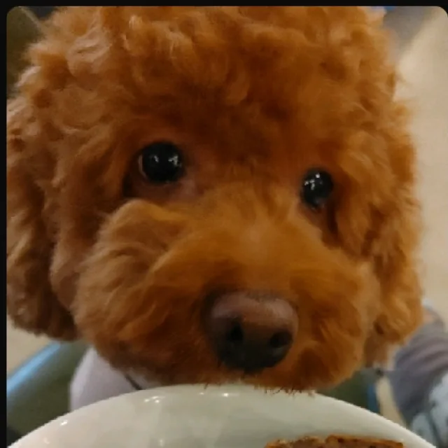 서리