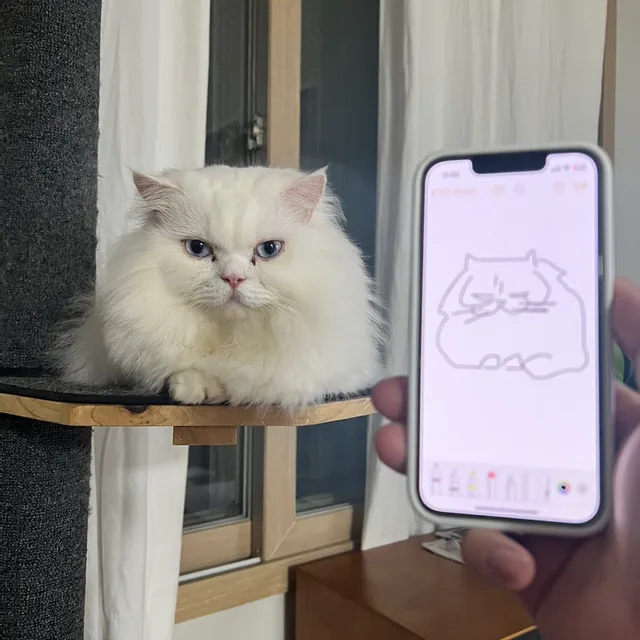아츠