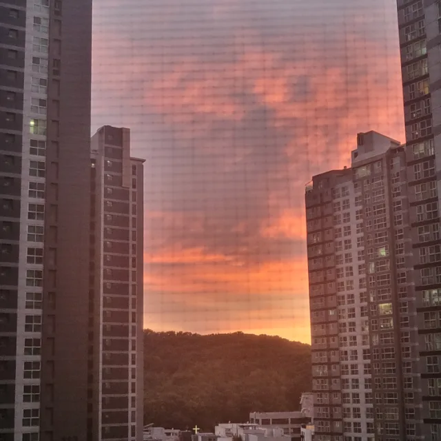 토끼
