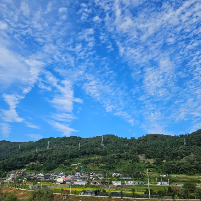 profile