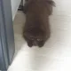 롸잇나우