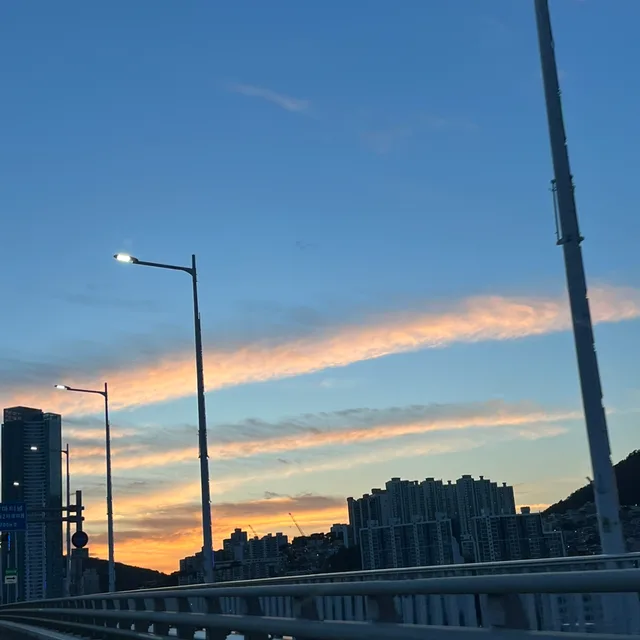 오즈의맙소사