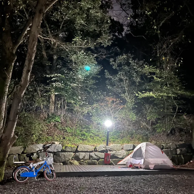 보노킴