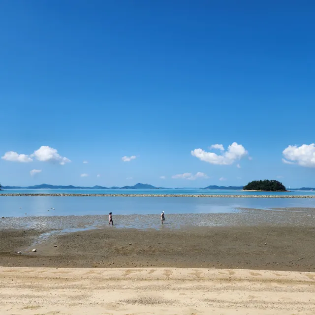 수란