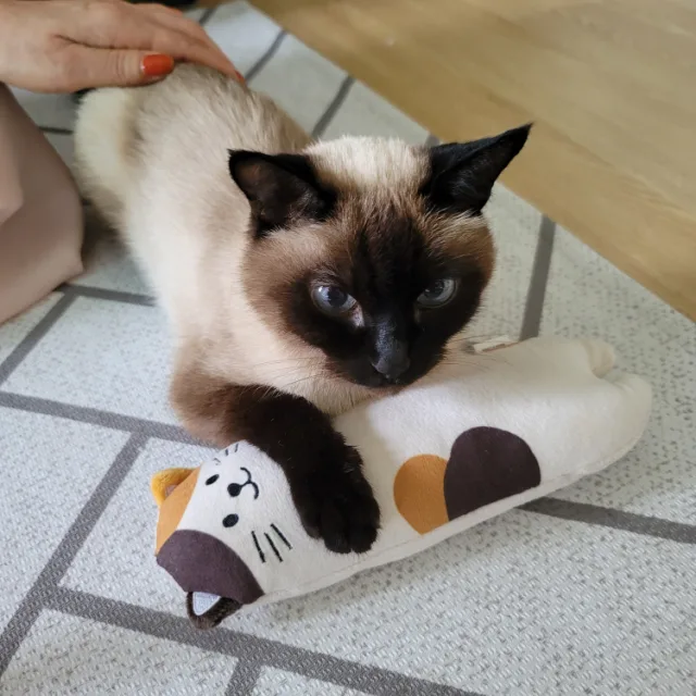 냥꼬