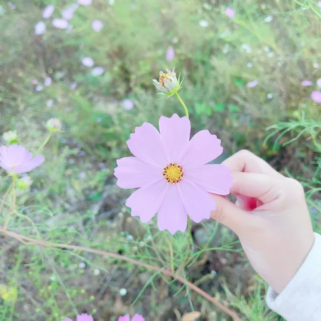 벨이